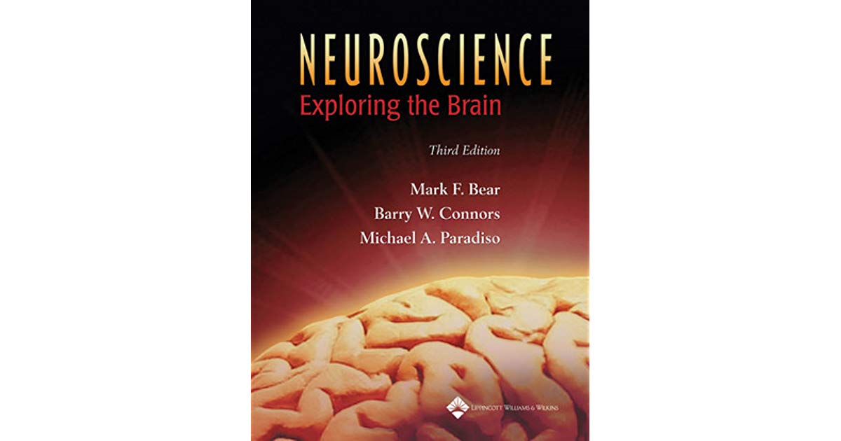 Neuroscience Exploring The Brain 3rd Edition Bear Connors Paradiso Test Bank